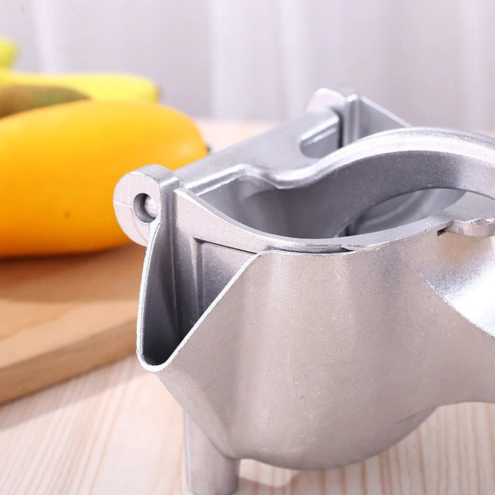 Creative Stainless Steel Fruit Juice Extractor